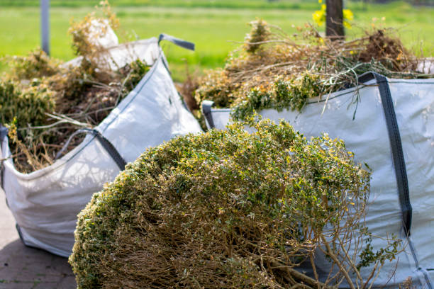 Best Demolition Debris Removal  in Loxley, AL
